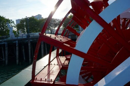 Operational Paddlewheel